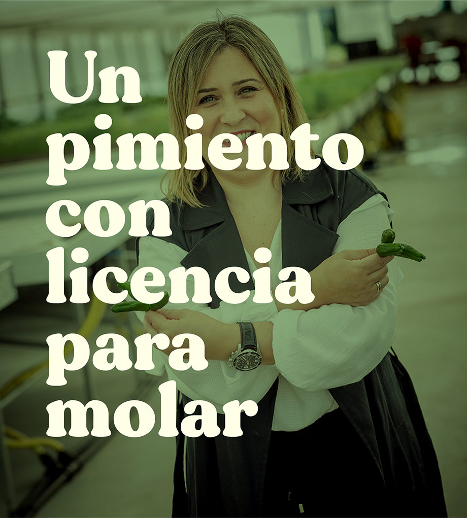 licencia-para-molar